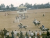 28 A.Abeba campo corse 1965