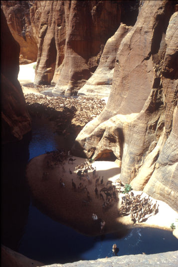 La guelta di ARCHEI