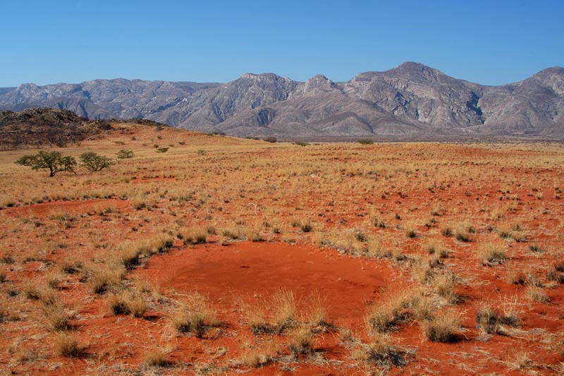 Fairy Circles