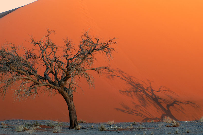 Namib