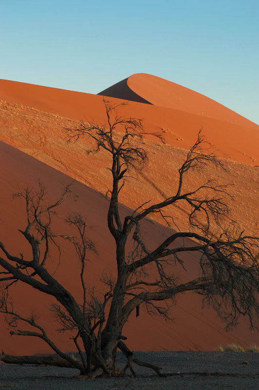 Namib