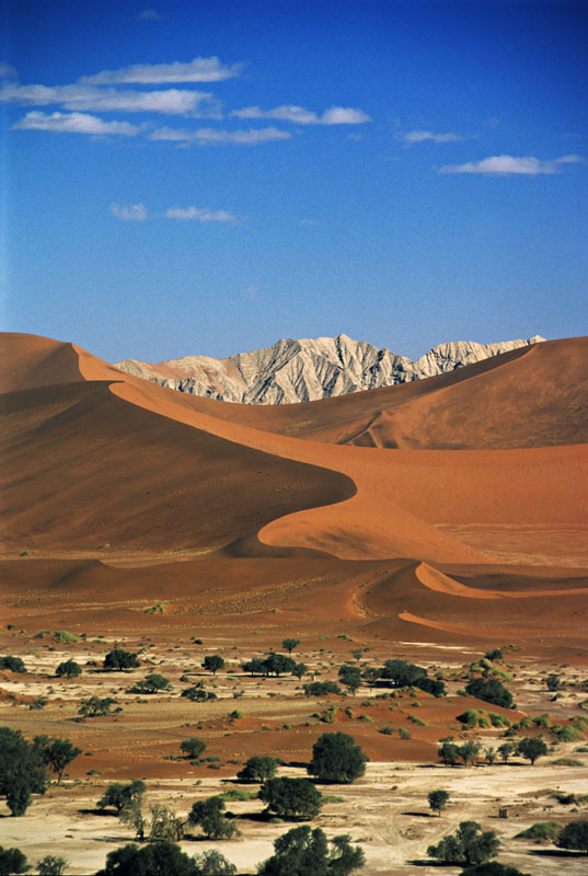 Namib